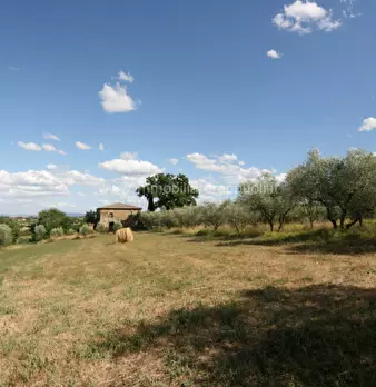 Foto annuncio 16