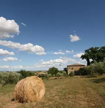 Foto annuncio 19