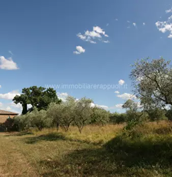 Foto annuncio 20