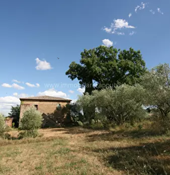 Foto annuncio 21