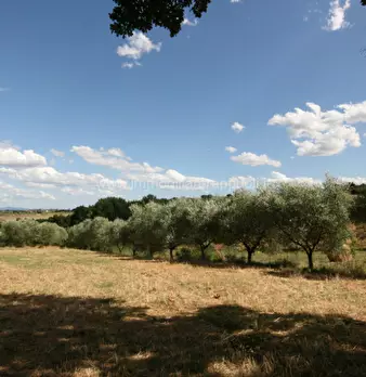 Foto annuncio 23