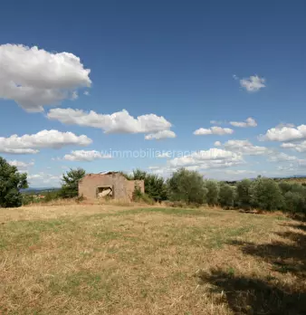 Foto annuncio 24