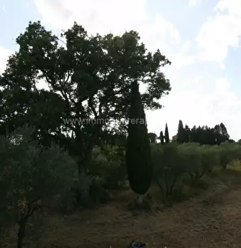 Foto annuncio 29