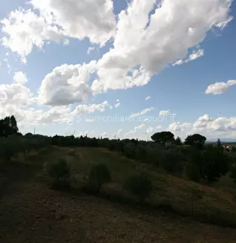 Foto annuncio 30