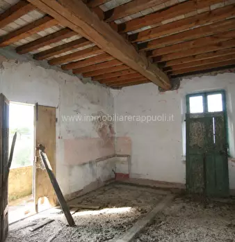 Foto annuncio 32