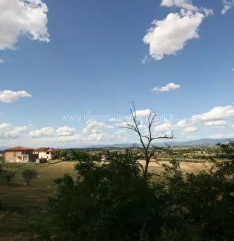 Foto annuncio 33