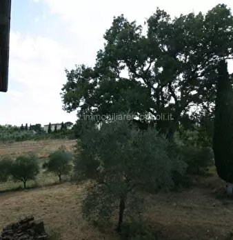 Foto annuncio 45
