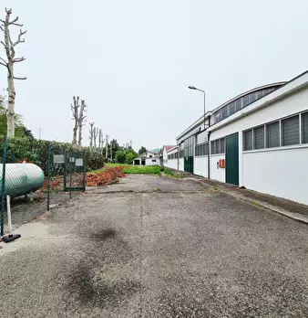 Foto annuncio 10