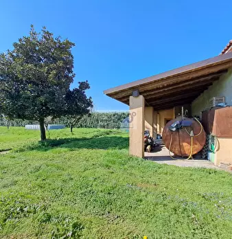 Foto annuncio 1