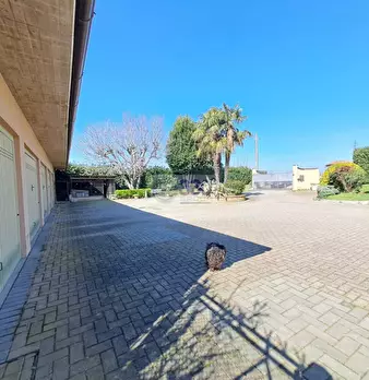 Foto annuncio 9