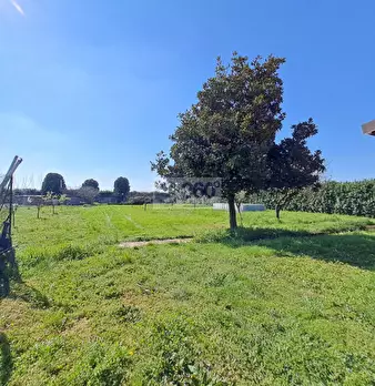 Foto annuncio 12