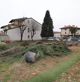 Foto annuncio 4