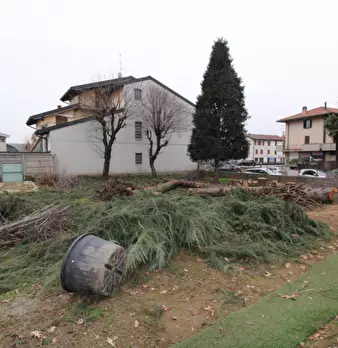 Foto annuncio 5