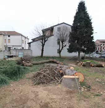 Foto annuncio 6