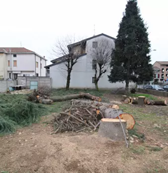Foto annuncio 7