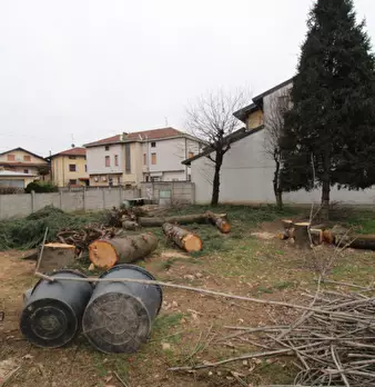 Foto annuncio 8