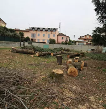 Foto annuncio 10