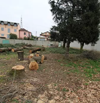 Foto annuncio 11