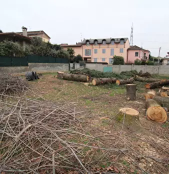 Foto annuncio 12