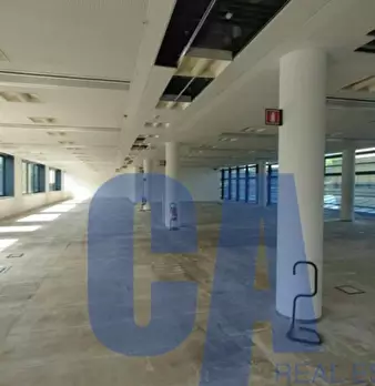 Foto annuncio 17