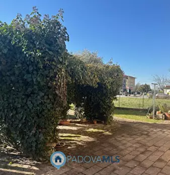 Foto annuncio 4