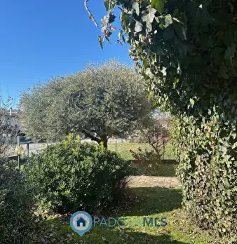 Foto annuncio 12