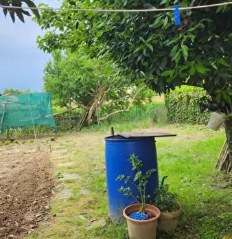Foto annuncio 31