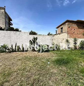 Foto annuncio 13