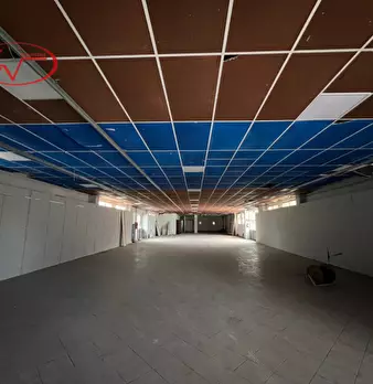 Foto annuncio 12