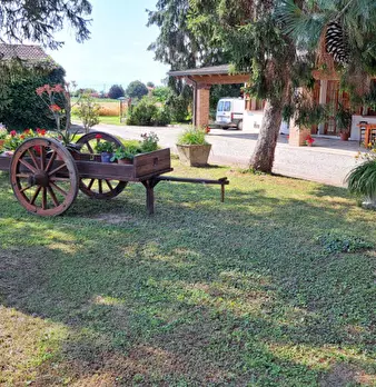 Foto annuncio 2