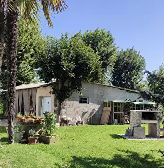 Foto annuncio 28