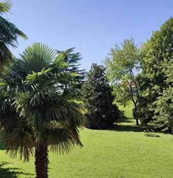 Foto annuncio 30