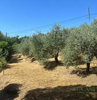 Foto annuncio 19