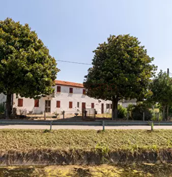 Foto annuncio 1