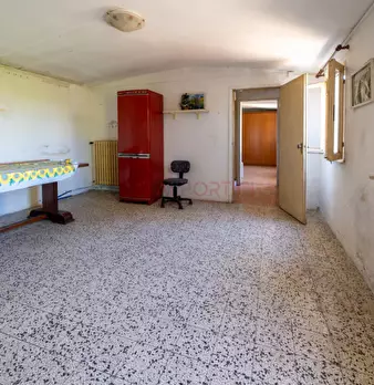 Foto annuncio 11