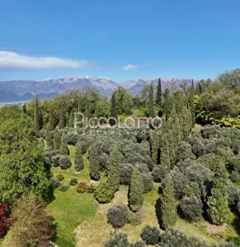 Foto annuncio 9