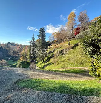 Foto annuncio 25