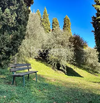 Foto annuncio 27