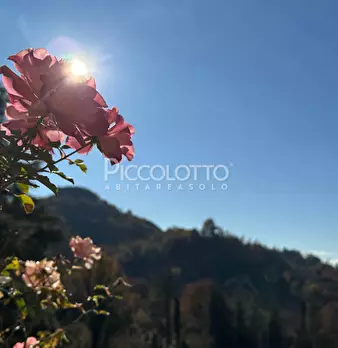 Foto annuncio 29