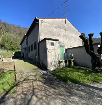 Foto annuncio 12