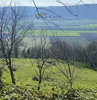Foto annuncio 19