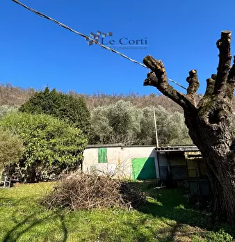 Foto annuncio 21