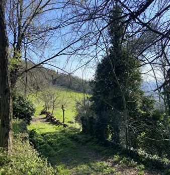 Foto annuncio 28