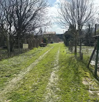 Foto annuncio 15