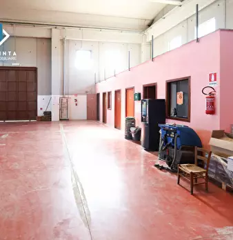 Foto annuncio 17