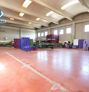 Foto annuncio 18