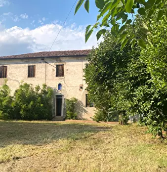 Foto annuncio 7