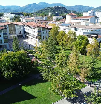 Foto annuncio 6