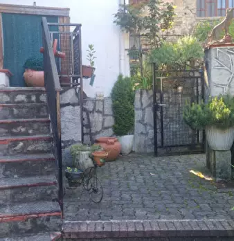 Foto annuncio 1