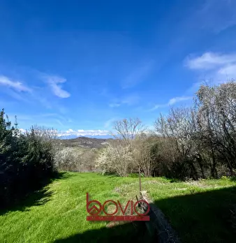 Foto annuncio 11